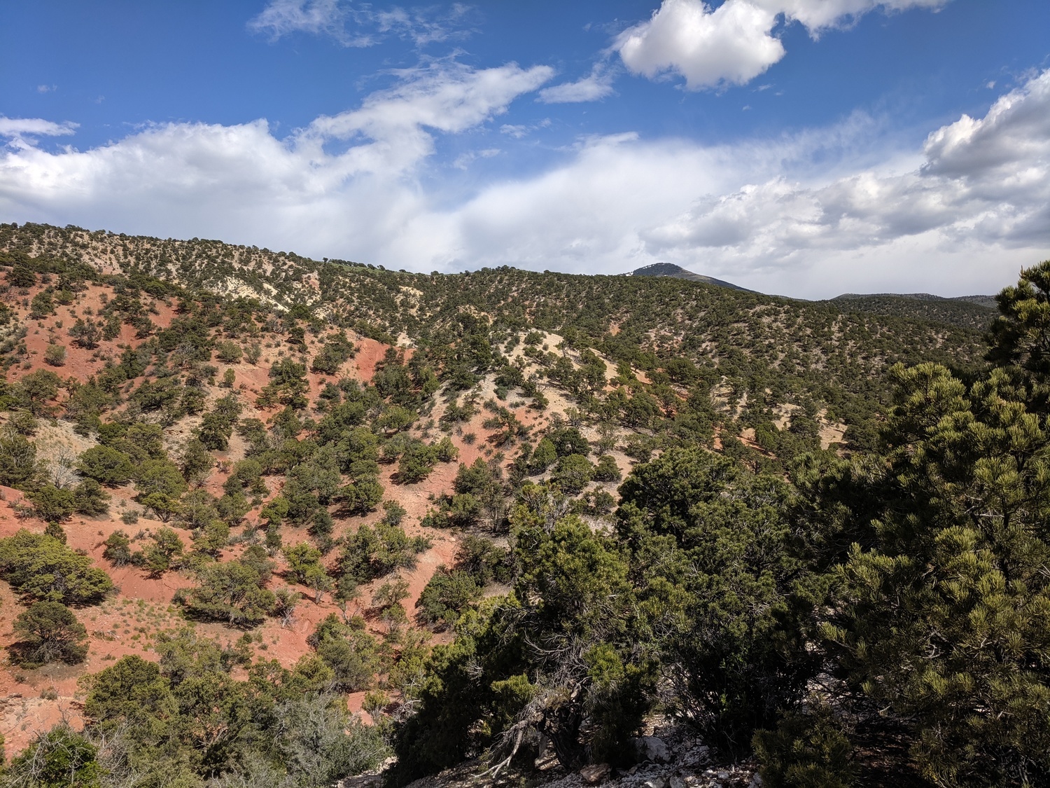 Indian Peaks RV Park & Campground RV Park Cedar City Utah 15